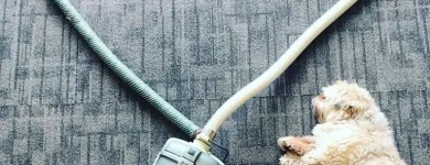 Business 44 image A VACUUM STORE & SERVICE INC Vacuum Cleaners in Calgary AB