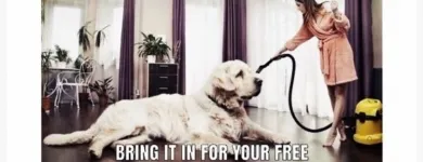 Business 5 image A VACUUM STORE & SERVICE INC Vacuum Cleaners in Calgary AB