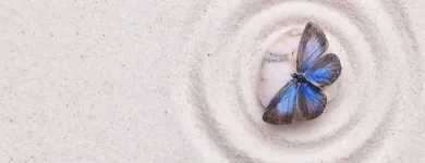 Entreprises 8 image ACCUPUNCTURE NANAIMO Health & Medicine dans Nanaimo BC