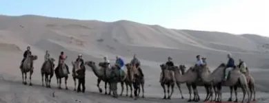 Business 19 image ADVENTURES ABROAD WORLDWIDE TRAVEL LTD. Travel Agents in Richmond BC
