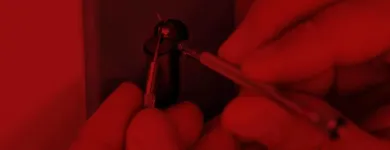 Business 13 image AEGIS LOCKSMITHS Locksmiths in Edmonton AB