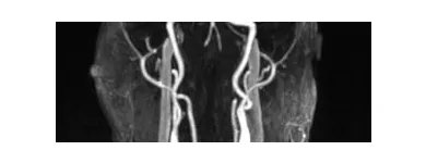 Entreprises 16 image AIM MEDICAL IMAGING Hospitals dans Vancouver BC