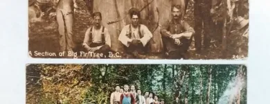 Entreprises 1 image ALL NATIONS STAMPS & COINS Stamp & Coin Dealers dans Vancouver BC