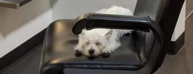 Business 10 image ARQ SALON Hair Salons in Victoria BC