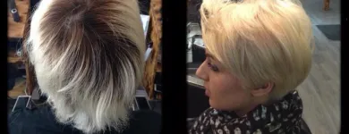 Business 6 image ARSHIA HAIR SALON & SPA Hair Salons in North York ON