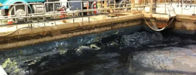 Entreprises 7 image BADGER DAYLIGHTING Industries & Agriculture dans Calgary AB