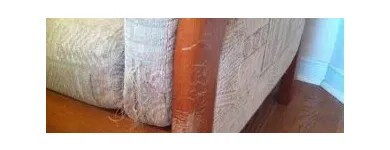 Business 2 image BAILEY'S REFINISHING Upholsterers in Mississauga ON
