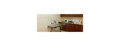 Entreprises 7 image BANK ST ANIMAL HOSPITAL Veterinarians dans Ottawa ON