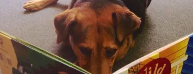 Entreprises 5 image BASTION BOOKS Shopping dans Victoria BC