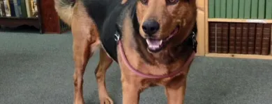 Entreprises 1 image BASTION BOOKS Shopping dans Victoria BC