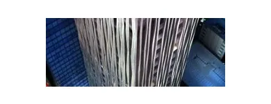 Entreprises 2 image BAZIS INC - NEW HOME DEVELOPER Real Estate & Home Improvement dans Vaughan ON