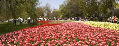 Business 15 image BEST WESTERN PLUS OTTAWA DOWNTOWN SUITES travel & tourism in Ottawa ON