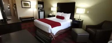 Entreprises 36 image BEST WESTERN PLUS RED DEER INN & SUITES travel & tourism dans Red Deer AB