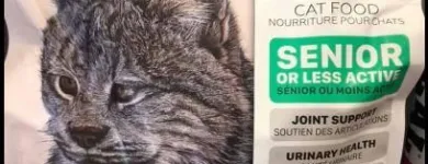 Business 2 image BESTIES PET SPA & CUISINE Pet & Animal Services in Belleville ON