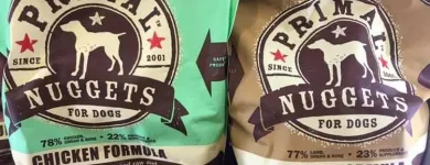 Business 7 image BESTIES PET SPA & CUISINE Pet & Animal Services in Belleville ON