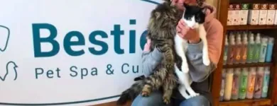 Business 13 image BESTIES PET SPA & CUISINE Pet & Animal Services in Belleville ON