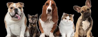 Business 14 image BESTIES PET SPA & CUISINE Pet & Animal Services in Belleville ON