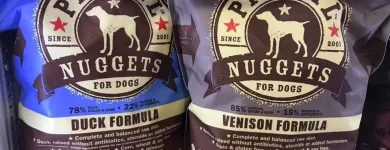 Business 19 image BESTIES PET SPA & CUISINE Pet & Animal Services in Belleville ON