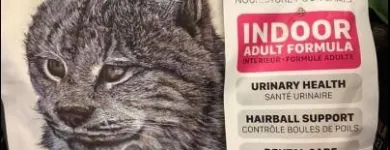 Business 1 image BESTIES PET SPA & CUISINE Pet & Animal Services in Belleville ON