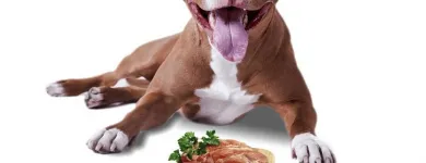 Entreprises 1 image BOUCHERIE K9- LIVRAISON DE NOURRITURE CRUE POUR CHIEN Shopping dans Laval QC