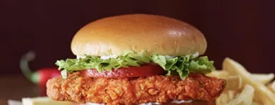 Business 6 image BURGER KING Restaurants in North Vancouver BC