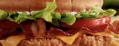 Business 18 image BURGER KING Restaurants in Oakville ON