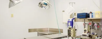 Entreprises 4 image BURNHAMTHORPE ANIMAL HOSPITAL Veterinarians dans Mississauga ON