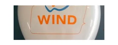 Entreprises 1 image CALGARY CUSTOM BALLOON PRINTING Wedding & Party Decorators dans Calgary AB