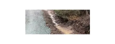 Business 10 image CAN YOU DIG IT CONTRACTING Industries & Agriculture in Prince George BC