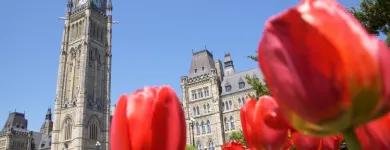 Entreprises 2 image CANADIAN SECURITY TEAM Shopping dans Nepean ON