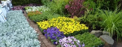 Business 1 image CAREFREE GREENERY LTD Real Estate & Home Improvement in North Vancouver BC