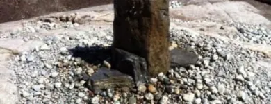 Business 8 image CAREFREE GREENERY LTD Real Estate & Home Improvement in North Vancouver BC