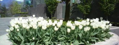 Business 13 image CAREFREE GREENERY LTD Real Estate & Home Improvement in North Vancouver BC