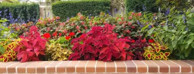 Business 14 image CAREFREE GREENERY LTD Real Estate & Home Improvement in North Vancouver BC