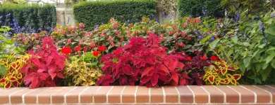 Business 18 image CAREFREE GREENERY LTD Real Estate & Home Improvement in North Vancouver BC