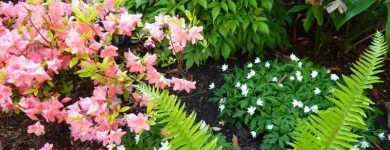 Business 20 image CAREFREE GREENERY LTD Real Estate & Home Improvement in North Vancouver BC