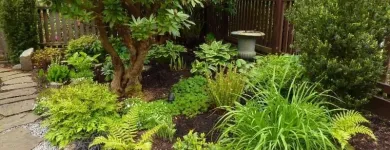 Business 21 image CAREFREE GREENERY LTD Real Estate & Home Improvement in North Vancouver BC