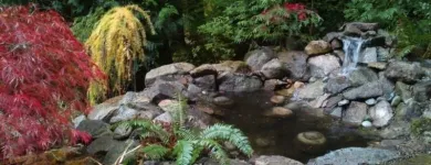 Business 4 image CAREFREE GREENERY LTD Real Estate & Home Improvement in North Vancouver BC