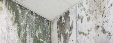 Entreprises 18 image CASCADE ENVIRONMENTAL CONSULTING LTD Real Estate & Home Improvement dans Edmonton AB