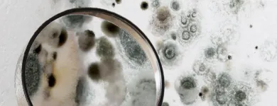 Entreprises 20 image CASCADE ENVIRONMENTAL CONSULTING LTD Real Estate & Home Improvement dans Edmonton AB