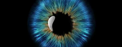 Entreprises 1 image CENTRE DE VISION GUINARD & COHEN Ophthalmologists, Optometrists & Opticians dans Montréal QC