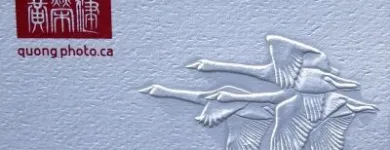 Business 4 image CLASSIC STATIONERS DBA CLASSIC ENGRAVING LTD Shopping in Victoria BC