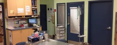 Business 8 image CLINIQUE VÉTÉRINAIRE ST JEAN BAPTISTE Veterinarians in Pointe-aux-trembles QC