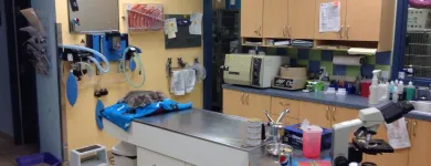 Business 10 image CLINIQUE VÉTÉRINAIRE ST JEAN BAPTISTE Veterinarians in Pointe-aux-trembles QC