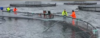 Entreprises 1 image CPI EQUIPMENT INC Water Treatment Equipment & Service dans Nanoose Bay BC