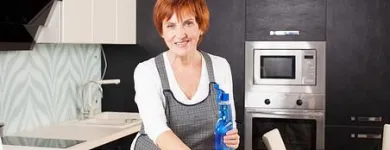 Entreprises 20 image CUSTOM MAIDS INCORPORATED Window Cleaners dans Toronto ON