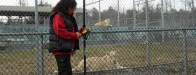 Entreprises 4 image DENICOURT ARPENTEURS-GEOMETRES Surveyors dans Saint-hubert QC