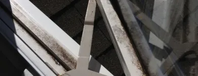 Entreprises 5 image DIAMOND WINDOW CLEANING Window Cleaners dans Belleville ON