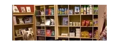 Business 3 image DOGSMART TRAINING & DAYCARE Pet Training in Vancouver BC