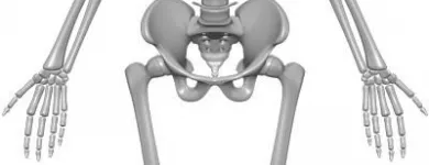 Entreprises 3 image DR. GOLD FAMILY CHIROPRACTIC Orthotists & Prosthetists dans North York ON